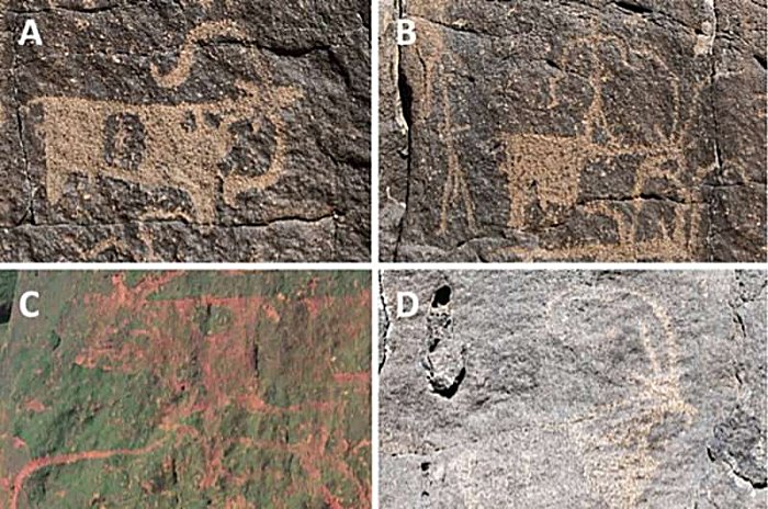 Human Occupation In Lava Tube Cave In Saudi Arabia - First Evidence Discovered