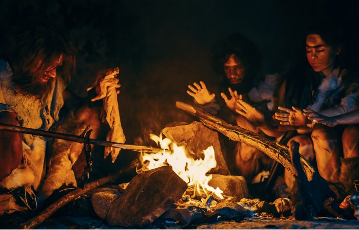 Similarities And Differences Between Living Spaces Of Neanderthals And Homo Sapiens