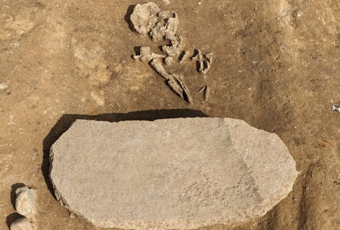 Neolithic 'Zombie' Grave Found Near Oppin In Saxony-Anhalt, Germany