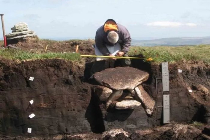Mysterious Bronze Age Burial Chamber Discovered In Devon, UK