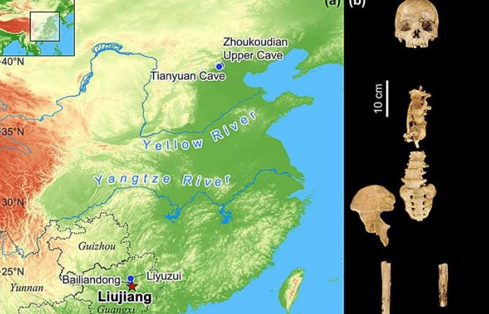 Re-Evaluation Of Dating of the Liujiang skeleton Sheds New Light On Timeline Of Human Occupation In China