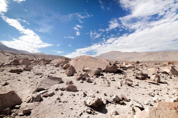 Ancient Petroglyphs In Toro Muerto Are Not What We Thought - Archaeologists Say