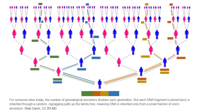 DNA Says You're Related To A Viking, A Medieval German Jew Or A 1700s Enslaved African? What A Genetic Match Really Means