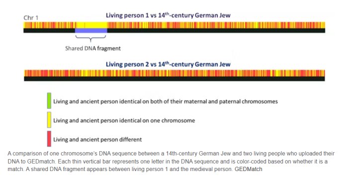 DNA Says You're Related To A Viking, A Medieval German Jew Or A 1700s Enslaved African? What A Genetic Match Really Means