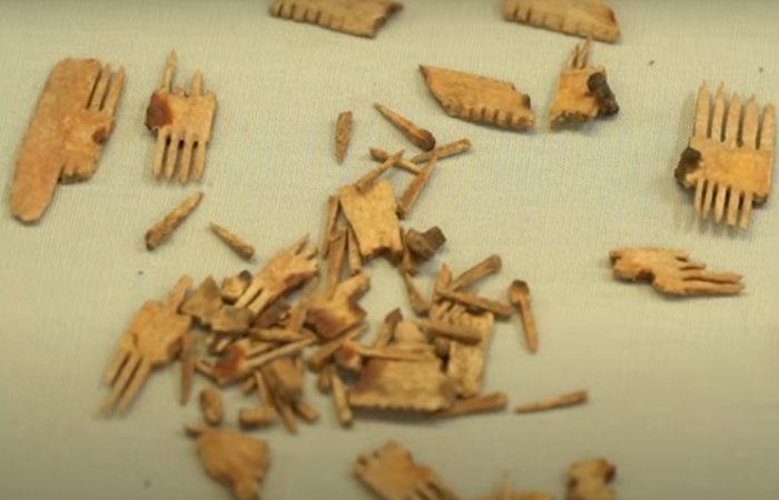 19,000 Ancient Artifacts Unearthed At Calthorpe Gardens, England