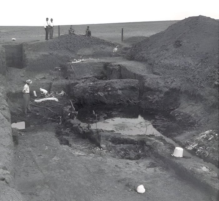 Ice Age Mystery - Unexplained Disappearance Of North America's Large Mammals - New Clues
