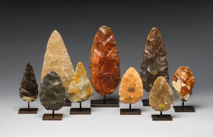 Why Did Modern Humans Replace The Neanderthals? The Key Might Lie In Our Social Structures