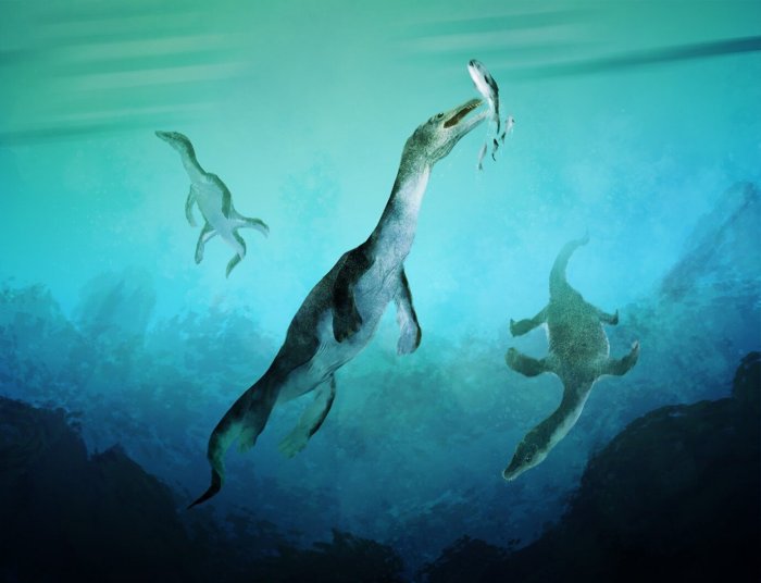 MessageToEagle.com
HOME
ALL SCIENCE
ASTRONOMY
PHYSICS
EARTH
TECHNOLOGY
ANCIENT WORLD
Oldest Polar Sea Reptile Fossil Ever Found In Southern Hemisphere