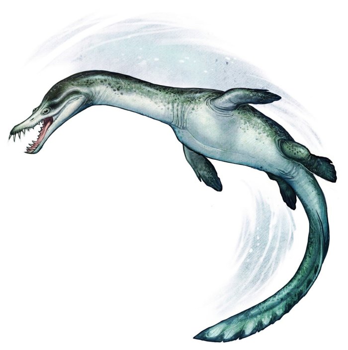 Oldest Polar Sea Reptile Fossil Ever Found In Southern Hemisphere