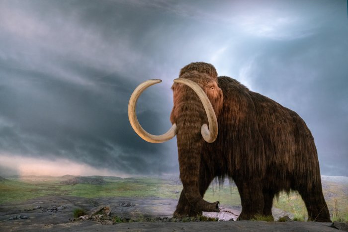 Younger Dryas Impact Hypothesis - New Evidence A Comet Crashed Into Earth 12,800 Years Ago