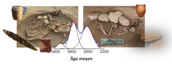 A 4,500-Year-Old Collective Tomb In France Reveals Its Secret - The Final Stage In The Formation Of The 'European Genome'
