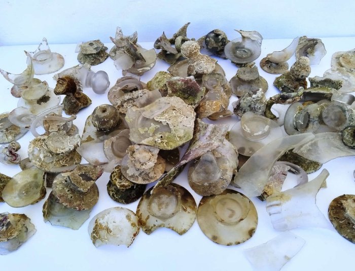 Underwater Archaeologists Retrieve Over 100 Magnificent Glass Objects at Chengene Skele Bay, Bulgaria