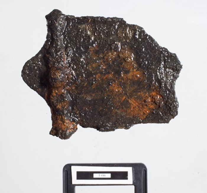 Ancient Objects Used In Unknown Celtic Ritual Discovered In Polish Lake