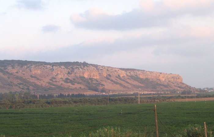 Child Finds Impressive 1,800-year-Old Ring Engraved With Minerva Goddess On Mount Carmel, Israel