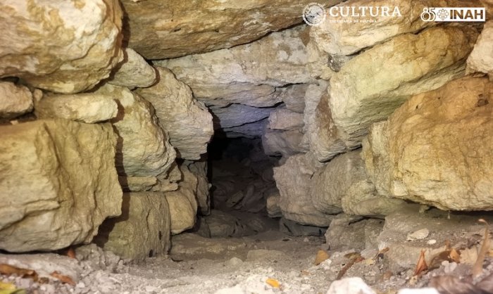 LIDAR Discovers Mysterious Maya Underground Chamber In The Rainforest