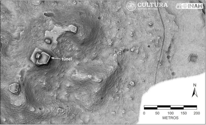LIDAR Discovers Mysterious Maya Underground Chamber In The Rainforest