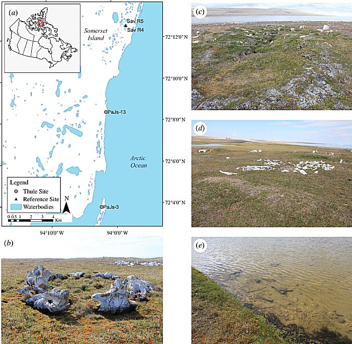 Revealing 1,200 Years Of Arctic Settlement In Canada