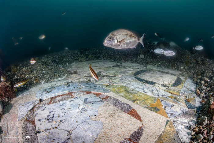 Amazing Ancient Roman Marble Floor Found In The Underwater City Of Baiae, Italy