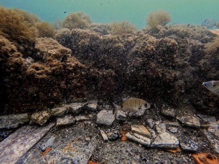 Amazing Ancient Roman Marble Floor Found In The Underwater City Of Baiae, Italy