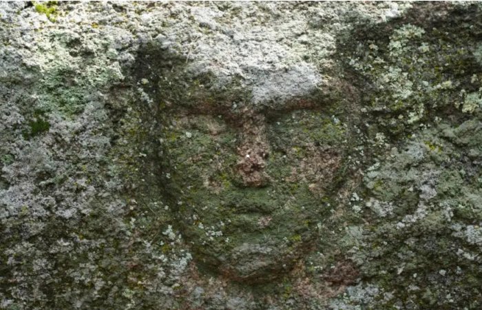 Mysterious Bronze Age Face Carved In Rock Found And Rare Artifacts Found In Kazakhstan