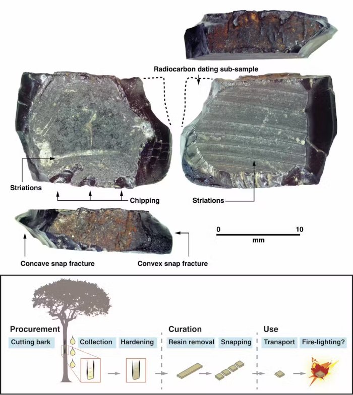 New West Papua Findings Provide Insights Into Early Human Migration To The Pacific