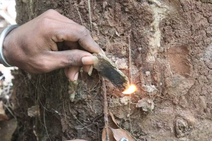 New West Papua Findings Provide Insights Into Early Human Migration To The Pacific