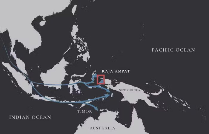 New West Papua Findings Provide Insights Into Early Human Migration To The Pacific