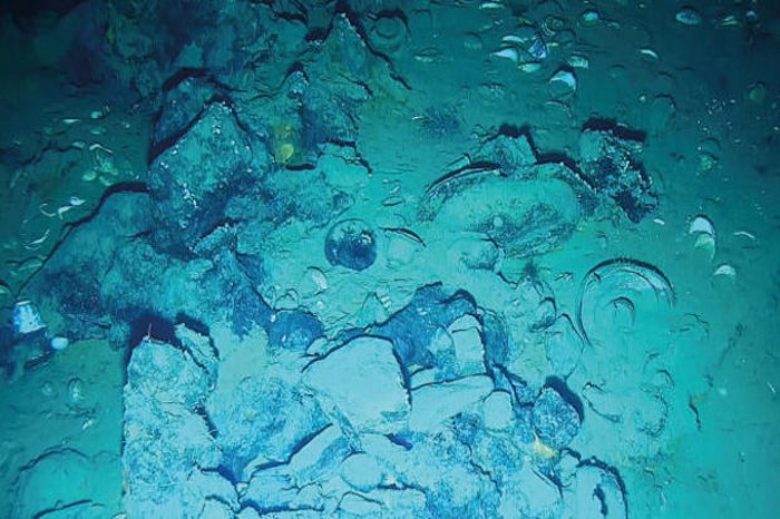New Treausures Found On The Legendary Shipwreck San José Near Colombia