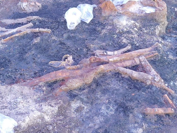 Extraordinary Gold Treasures Found In A Thracian Warrior's Grave Near Topolovgrad, Bulgaria