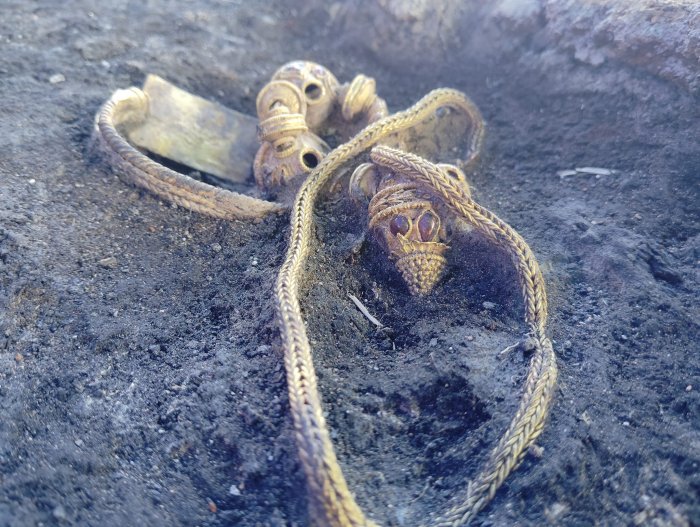 Extraordinary Gold Treasures Found In A Thracian Warrior's Grave Near Topolovgrad, Bulgaria