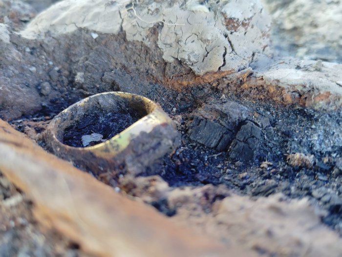 Extraordinary Gold Treasures Found In A Thracian Warrior's Grave Near Topolovgrad, Bulgaria