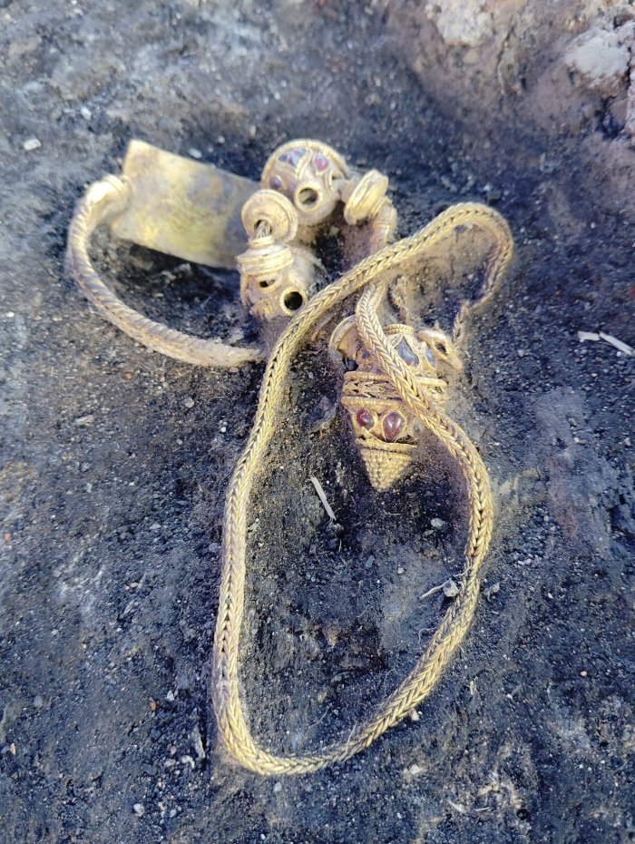 Extraordinary Gold Treasures Found In A Thracian Warrior's Grave Near Topolovgrad, Bulgaria
