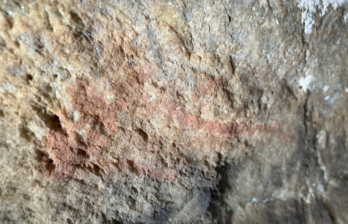 10,000-Year-Old DNA Offers Insights Into South African Population History