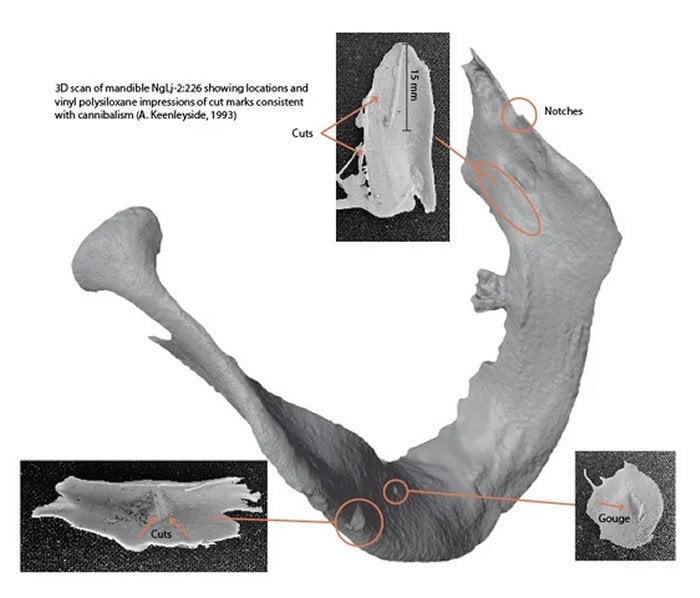 Another Franklin Expedition Crew Member Identified