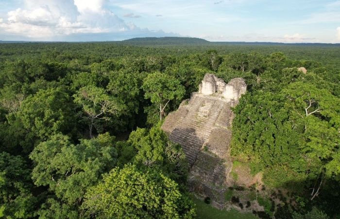 Powerful Ancient Maya Kaanu'l Dynasty And Their Intriguing Reliefs Of Mythical Animals And Celestial Ancestors In Quintana Roo, Mexico