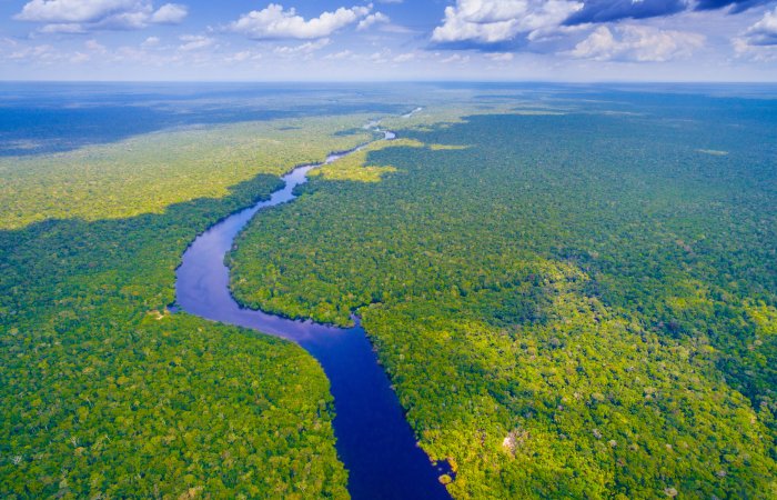 LIDAR Discovers Lost Colonial City Hidden In The Amazon Rainforest
