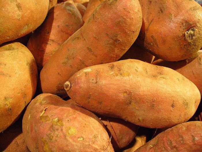 Recent Unexpected Findings Of Early Sweet Potato Cultivation In Polynesia