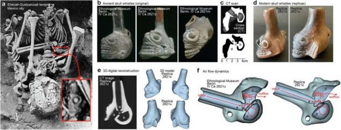 Aztec Skull Whistles: Unique, Terrifying Instruments With Scary And Scream-Like Nature That Paralized Human's Mind
