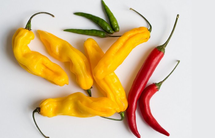 Spicy History Of Chili Peppers - Study From University Of Alabama