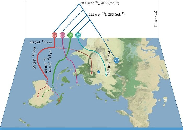 Denisovans In The Altai Mountains: A Hominin Group That interbred With Modern Humans