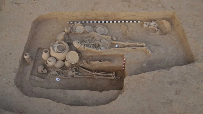 Scientists Use Ancient DNA To Explore Early European Adaptation