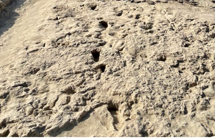 1.5-Million-Year-Old Footprints Of Two Different Species Of Human Ancestors Found At The Same Spot