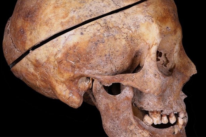 Unique Find In A French Crypt Offers The First Evidence Of European Familial Embalming Dating Back To The 16th Century