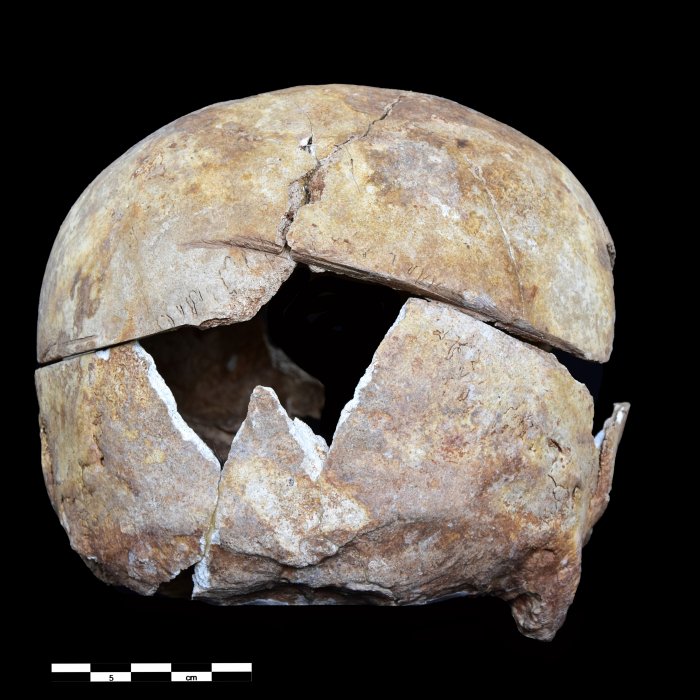 Unique Find In A French Crypt Offers The First Evidence Of European Familial Embalming Dating Back To The 16th Century