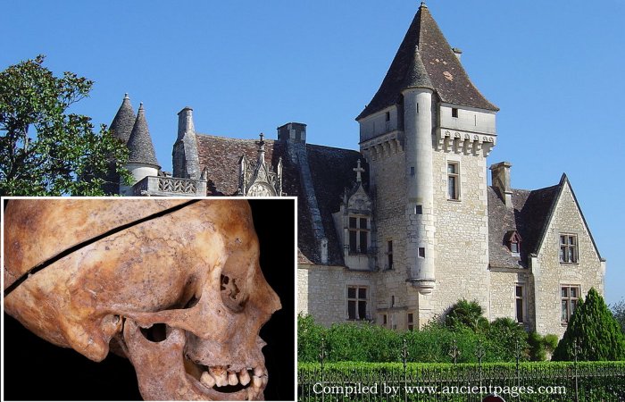 Unique Find In A French Crypt Offers The First Evidence Of European Familial Embalming Dating Back To The 16th Century