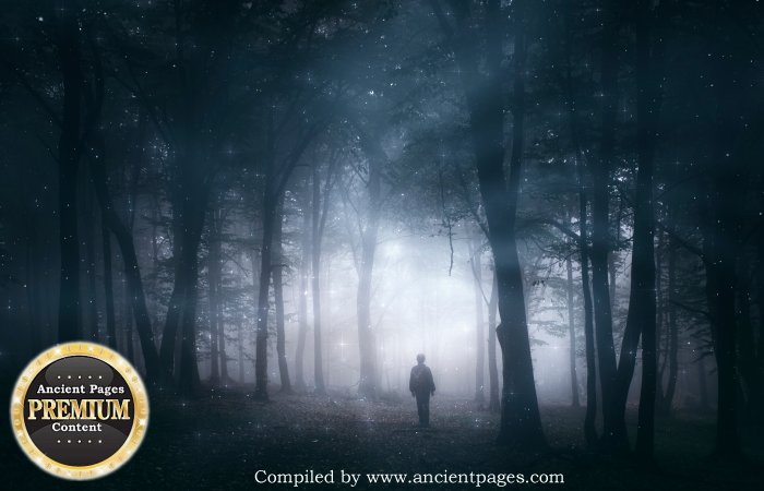 Unusual Fog, Mysterious Forest Disappearances, And Unexplained Lights In Finland – What Is The Connection?