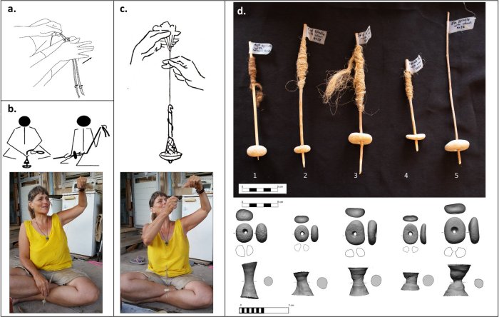 12,000-Year-Old Stones Found In Israel Could Be Earliest Evidence Of Wheel-Like Technology