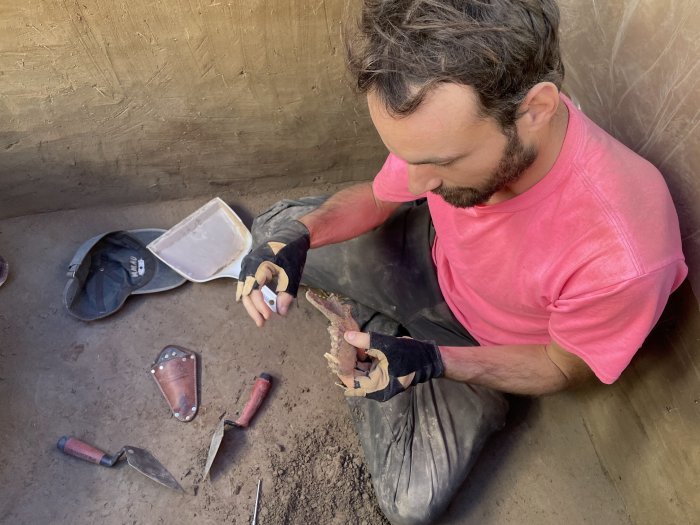 12,000-Year-Old Archaeological Evidence Of Human-Dog Friendship In Alaska
