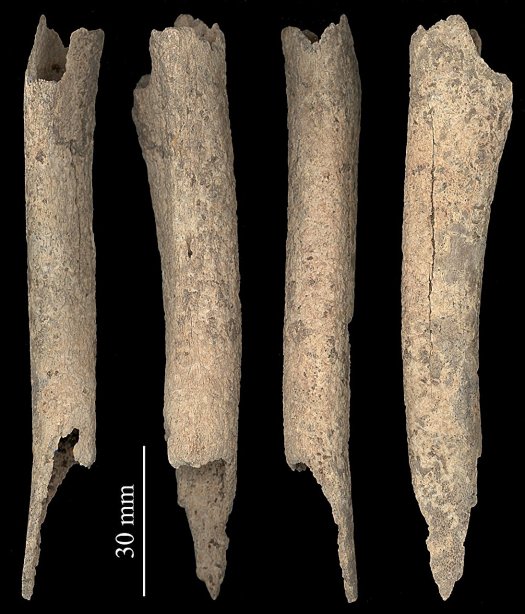 12,000-Year-Old Archaeological Evidence Of Human-Dog Friendship In Alaska