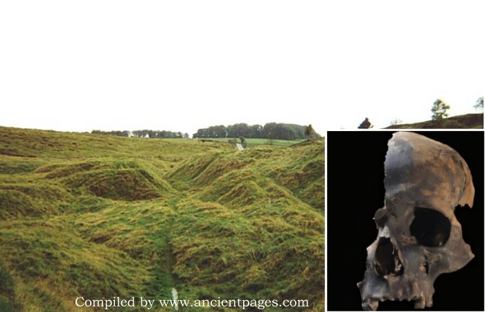 Mystery Of Charterhouse Warren's Early Bronze Age Site Solved By Scientists